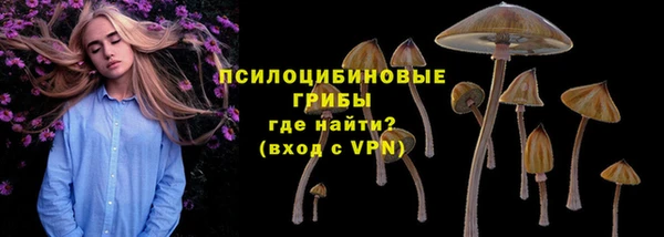 МДПВ Мегион