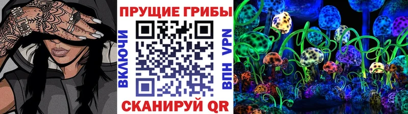 как найти закладки  нарко площадка какой сайт  Псилоцибиновые грибы мухоморы  Западная Двина 