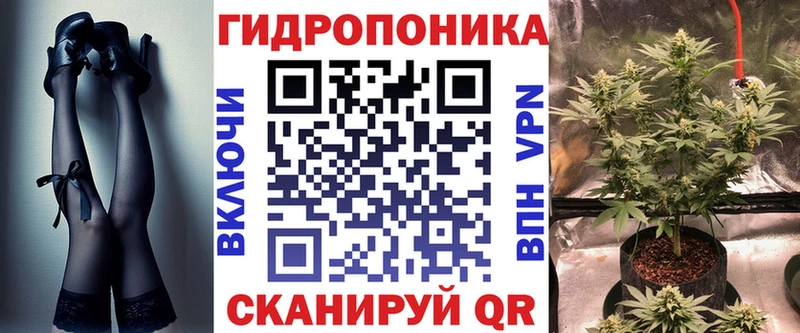 как найти наркотики  Западная Двина  Канабис SATIVA & INDICA 